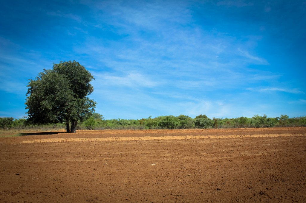 Châu Phi và những câu chuyện chưa kể (III):&nbsp;…