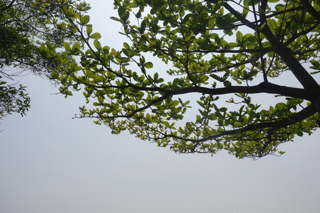 Thiên Hạ Đệ Nhất Hùng&nbsp;Quan