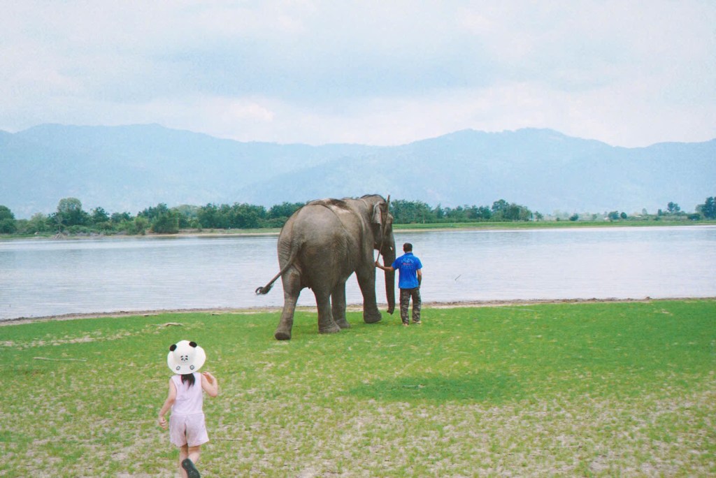 Tảng Đá bên hồ&nbsp;Lak